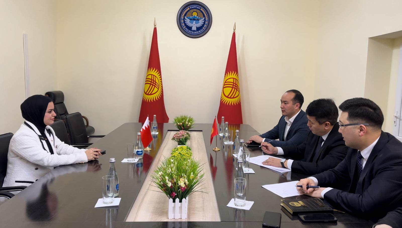 وزيرة شؤون الشباب تبحث مع النائب الأول لوزير الثقافة والإعلام والرياضة وسياسة الشباب القيرغيزستاني تعزيز العمل الشبابي بين البلدين