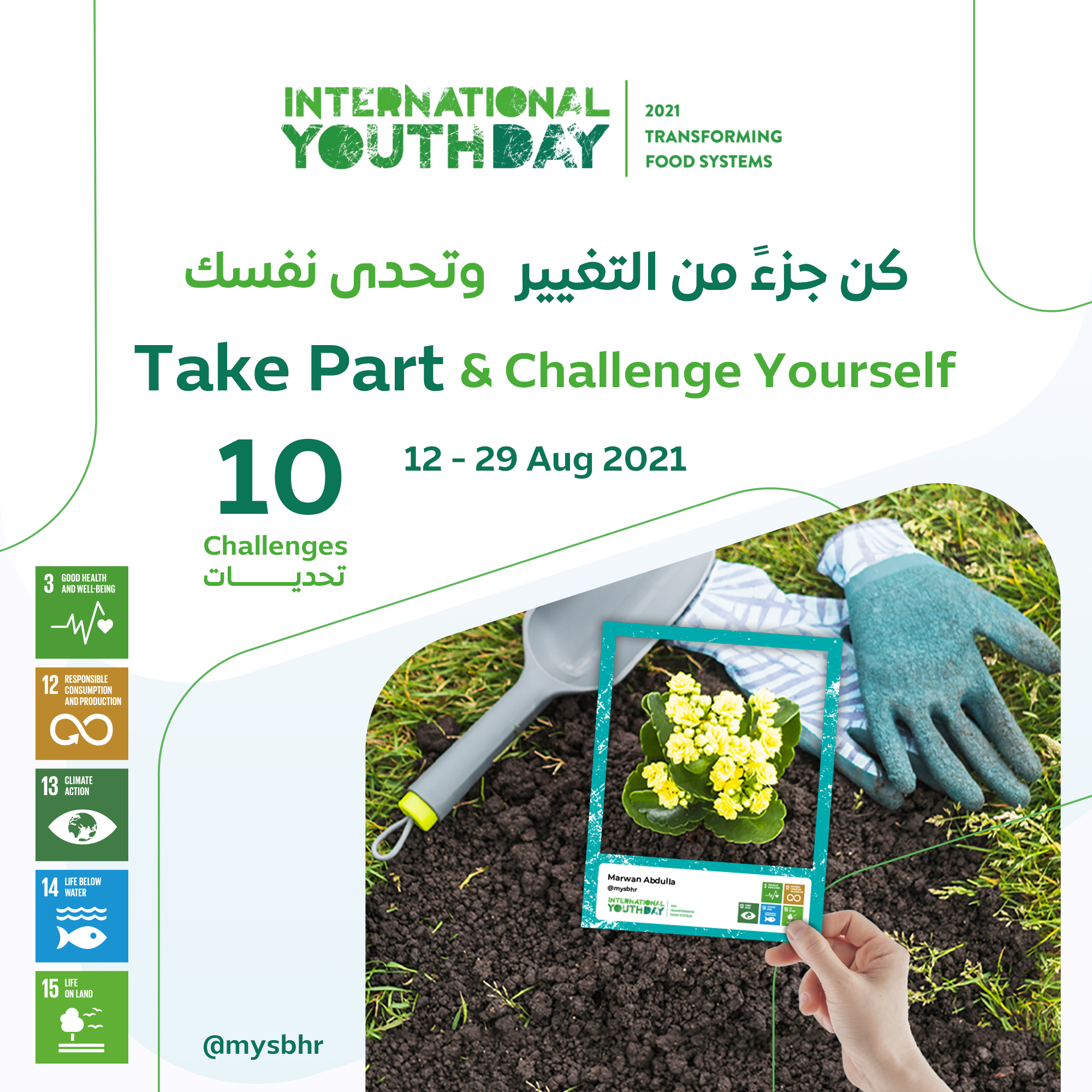 الشباب والرياضة تطلق حزمة من البرامج بالتزامن مع يوم الشباب الدولي