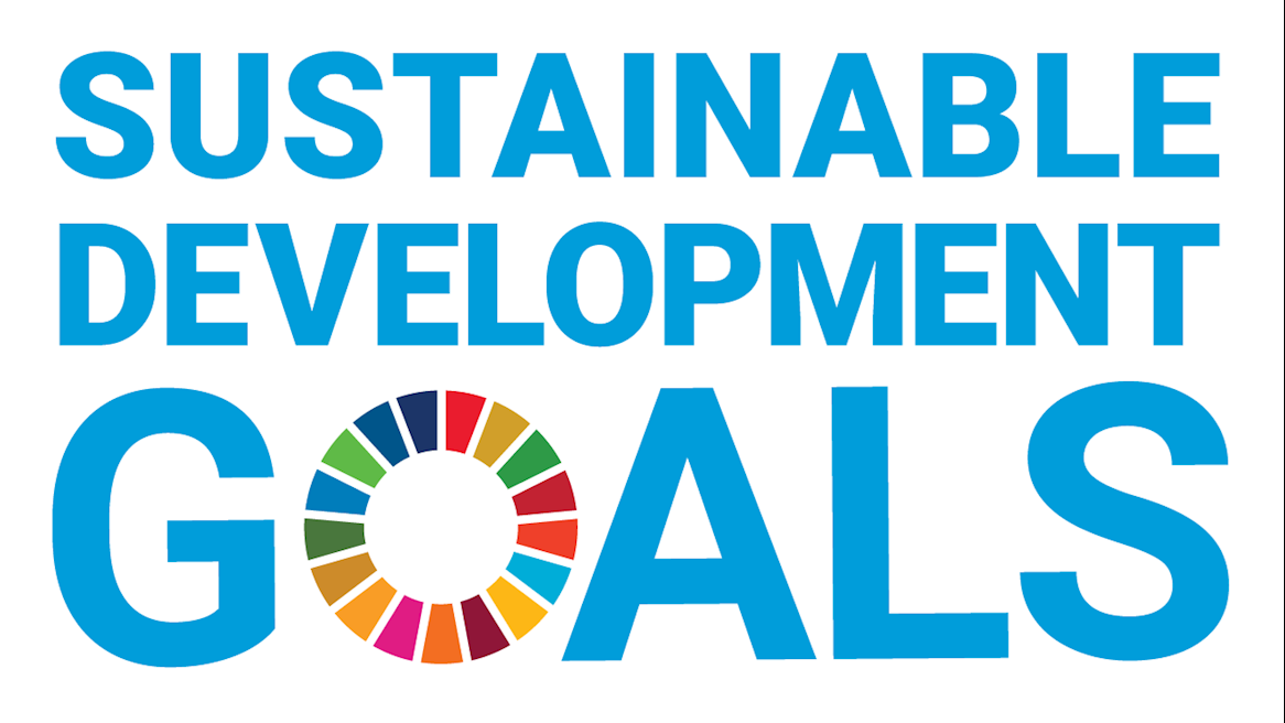 The Role of the Ministry of Youth Affairs in Achieving  Sustainable Development Goals